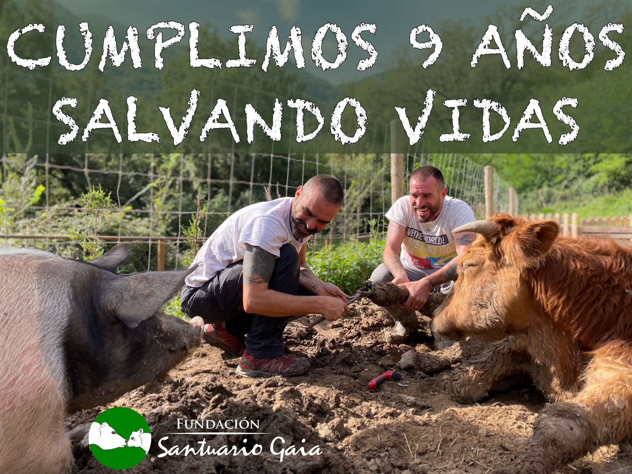 ¡cumplimos 9 AÑos Salvando Vidas Santuario Gaia