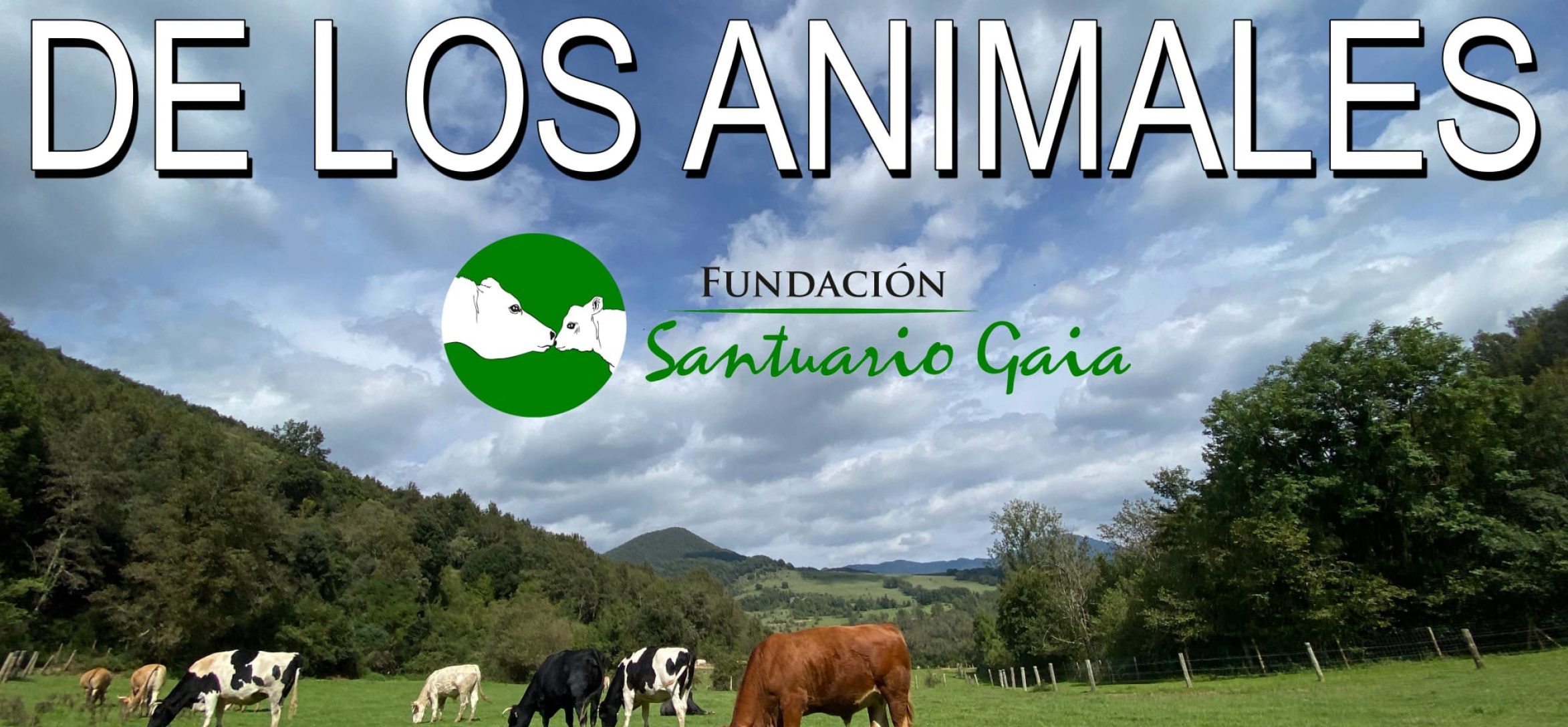 DIA-DE-LOS-ANIMALES